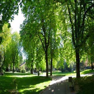 parc-salvator